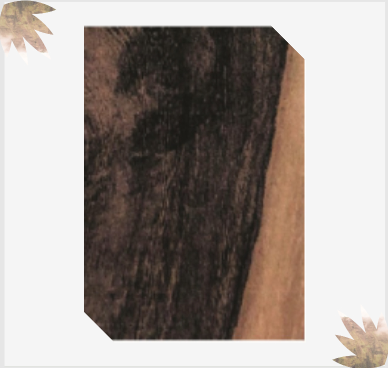 pheasantwood-pic_2048x.png?v=